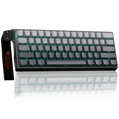 Aula WIN60 HE - 60% Mechanical Gaming Keyboard Wired, Magnetic Switch Hot Swappable, Adjustable Actuation Rapid Trigger Mode, 8000 Hz Polling Rate, RGB Small Keyboard 60 Percent Compact Design for PC